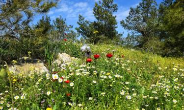 North District Israel – hotely