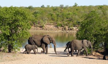 Hoteles en Parque Nacional Kruger