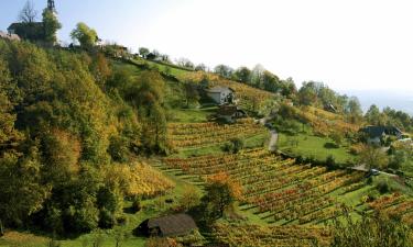 Hoteles en Dolenjska (Lower Carniola)