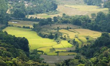 Hoteles en Coorg