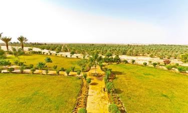 Hôtels dans cette région : Al Qassim Province