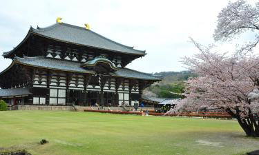 Nara: hotel low cost