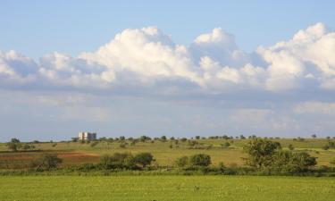 Bari Province 호텔