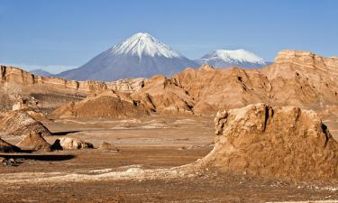 Pet-Friendly Hotels in Atacama