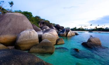 Варианты проживания в семье в регионе Riau Archipelago