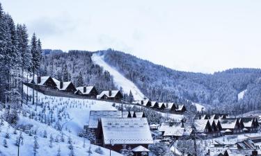 Курортные отели в регионе Буковель лыжный курорт