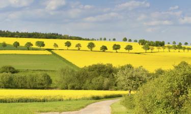 Hoteller i Taunus