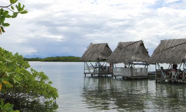 Hôtels dans cette région : Bocas del Toro