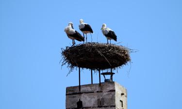 Hoteller i Burgenland