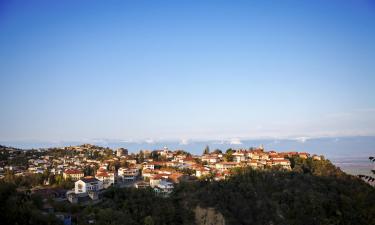 Hotel di Kakheti