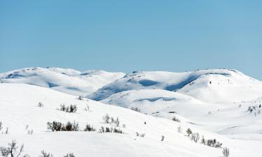 Rauland: viešbučiai