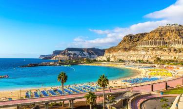 Апартаменты/квартиры в регионе Gran Canaria South