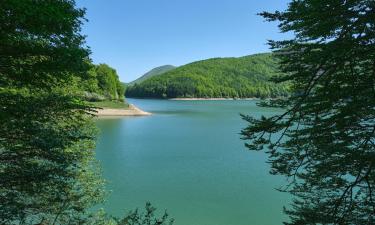 Irati Forest: kotedžai