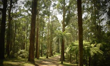 Dandenong Ranges: chalet