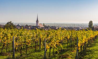 Appartements dans cette région : Route des vins