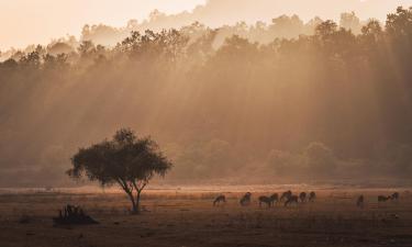 Hotelek Kanha National Park területén