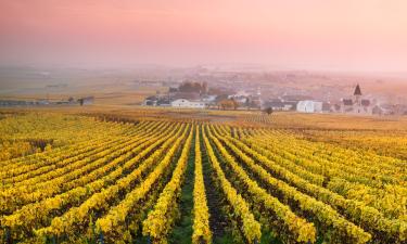 Hôtels dans cette région : Champagne