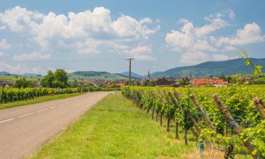Alsace Wine Route: viešbučiai