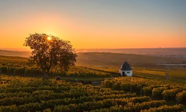 Wellnesshotels in der Region Rheingau