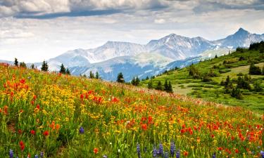 Chalets de montaña en Colorado