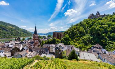 Apartments in Upper Middle Rhine Valley