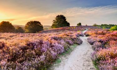 Veluwe otelleri