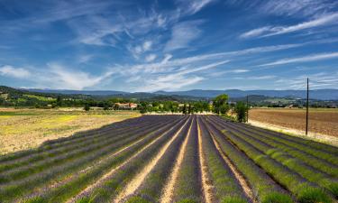 Vakantieboerderijen in Provence-Alpen-Côte d'Azur