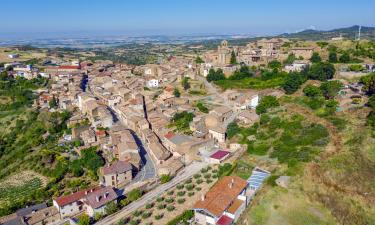 Hoteles en Navarra