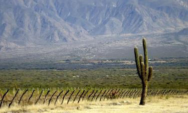 Hotellid regioonis Salta Wine Route
