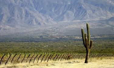 Hotell i Salta Wine Route