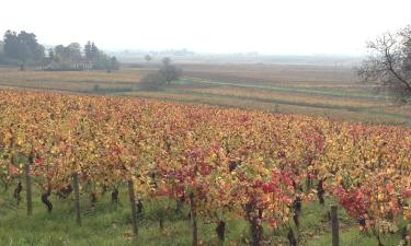 Hotel di Burgundy vineyards