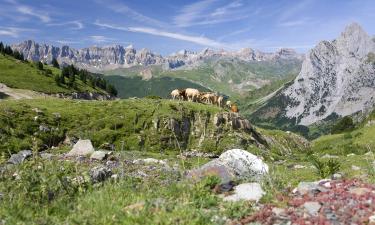 Chalets de montaña en Pirineos