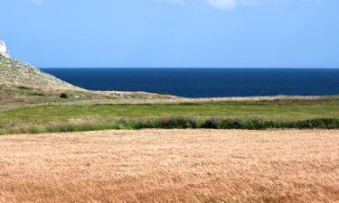 Hoteles en Salento