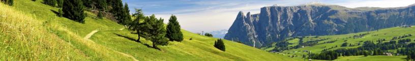 BroadSearchesEntryBannerImg
