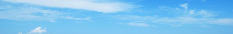 BroadSearchesEntryBannerImg