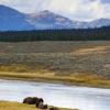 Hoteller i Yellowstone nationalpark - vestlig indgang