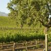 Santa Barbara Wine Country  panziói