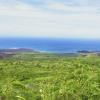 Hotels in Upcountry Maui