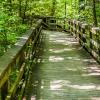 Holiday Rentals in Congaree National Park