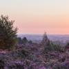 Hôtels dans cette région : Campine