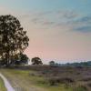 Utrecht Hill Ridge otelleri