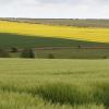 Lincolnshire Wolds kisállatbarát szállásai