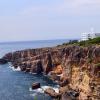 Pet-Friendly Hotels in Fukui