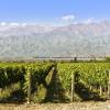 Lodges in Wine Route Mendoza