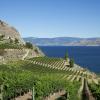 Hotels in Okanagan Valley