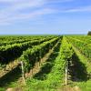 Pensions in Niagara Falls and Wine Country