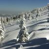 Hotele w regionie Szczyrk i okolice