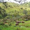 Venkovské domy v regionu Sierra de Aracena y Picos de Aroche