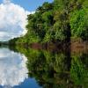 Hoteles en Amazonas