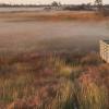 Hotel di Outer Banks